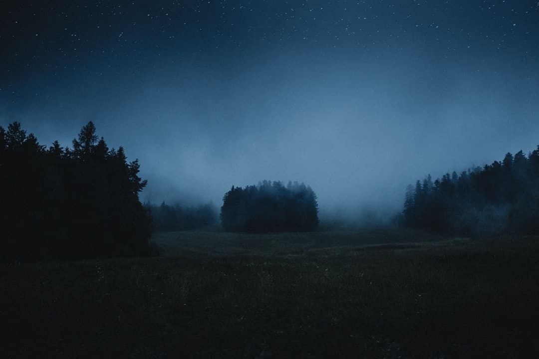 普京与特朗普新一轮会谈何时进行?俄方回应:可能是近期